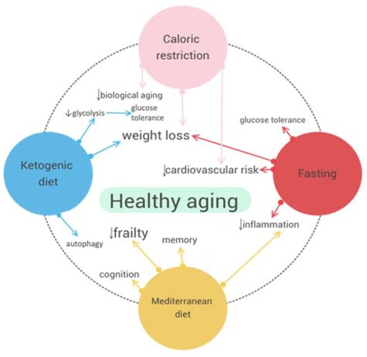 Andrea Roth Diet Plan