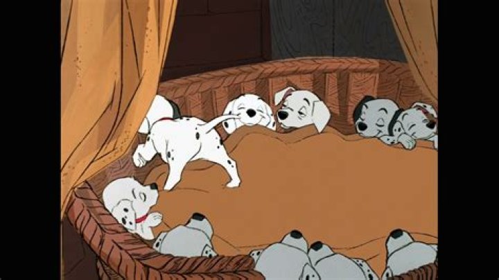 Are Horace and Jasper in 101 Dalmatians? – Celebrity