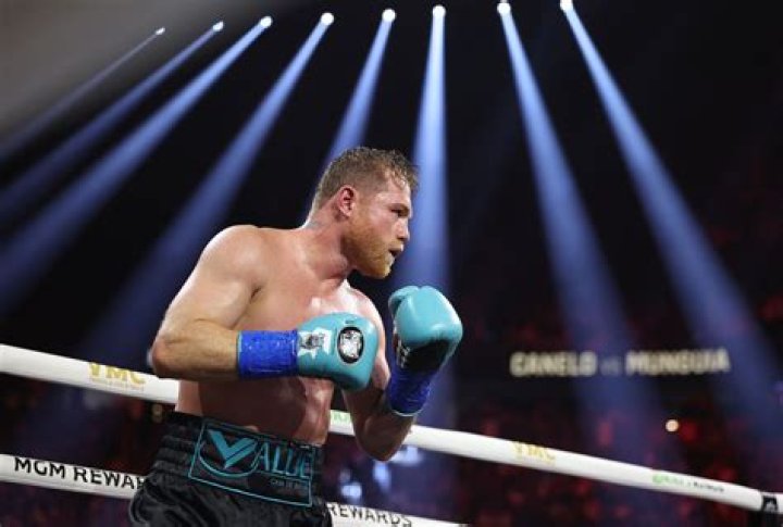 Canelo Álvarez Biography - Facts, Childhood, Family Life & Achievements