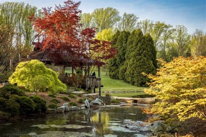 Chelsea Painter – Silver Spring, MD