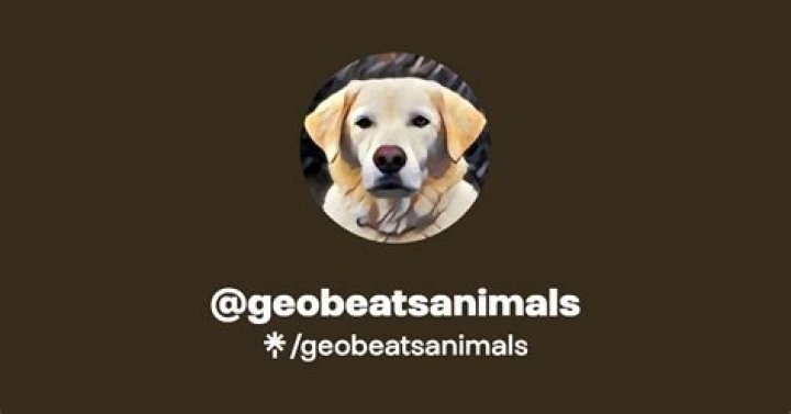 GeoBeats Animals video statistics