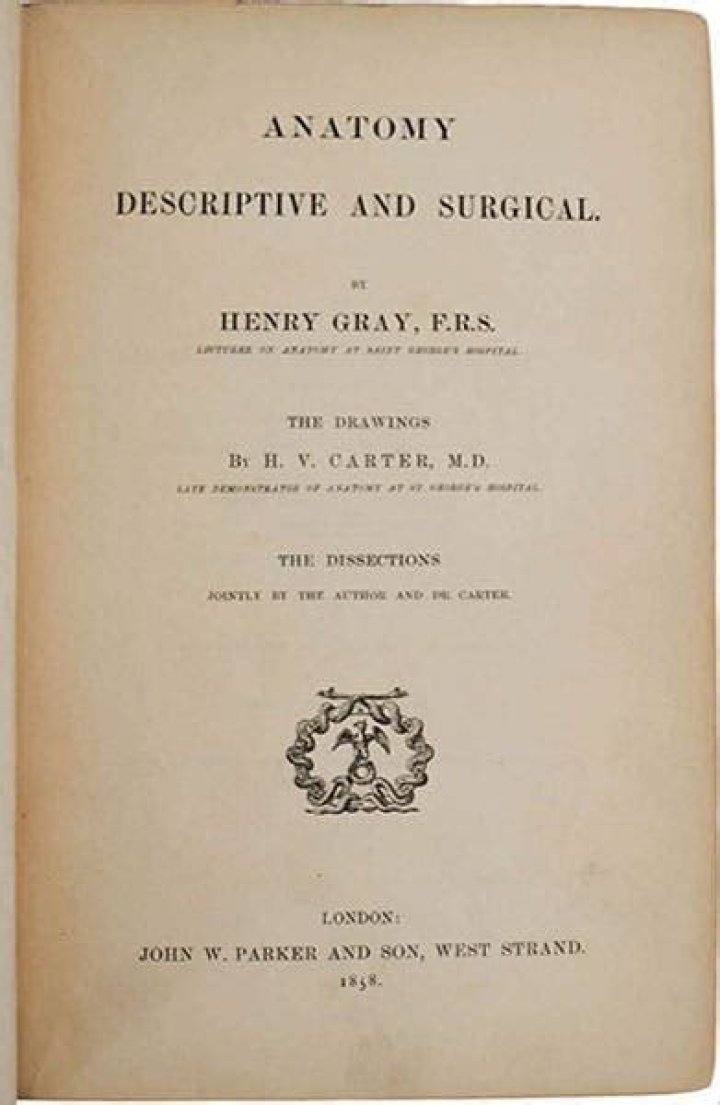 Henry Gray Biography - Facts, Childhood, Family Life & Achievements of the English Anatomist & Surgeon
