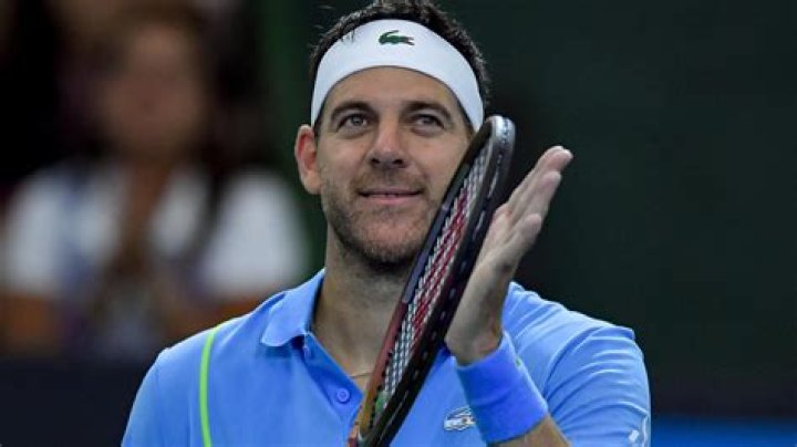 
How Much Money Does Juan Martín del Potro Make? Latest Income Salary
