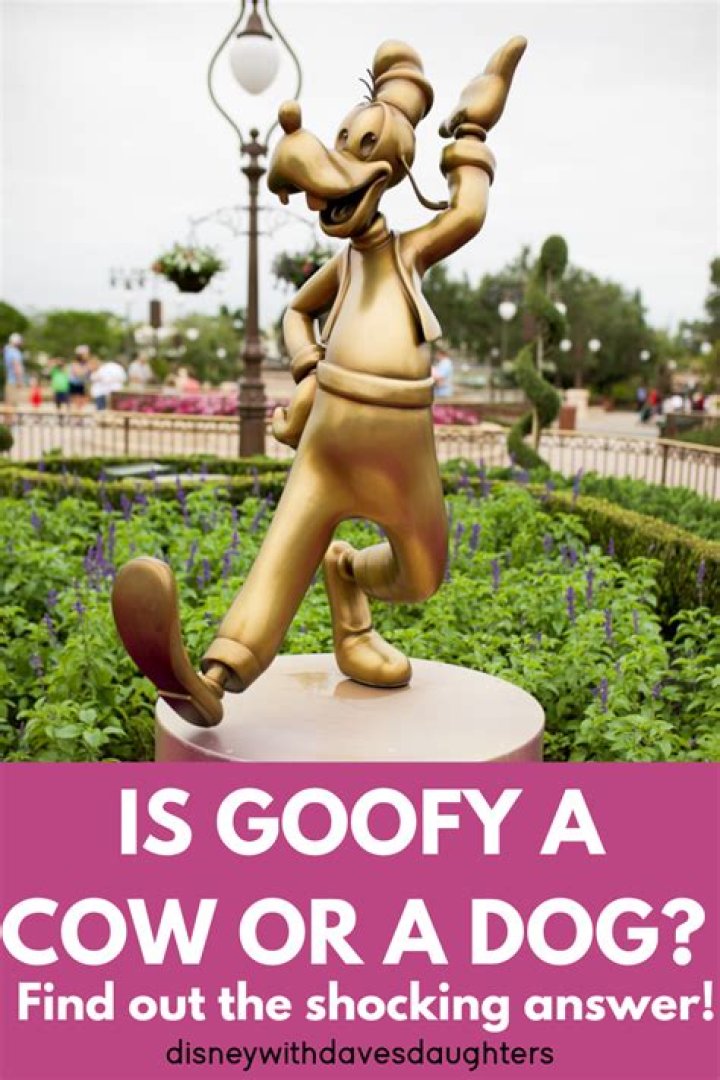 Is Goofy a cow or a dog? – Celebrity