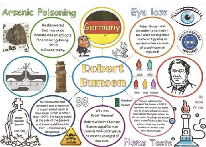 Robert Bunsen Biography - Childhood, Life Achievements & Timeline