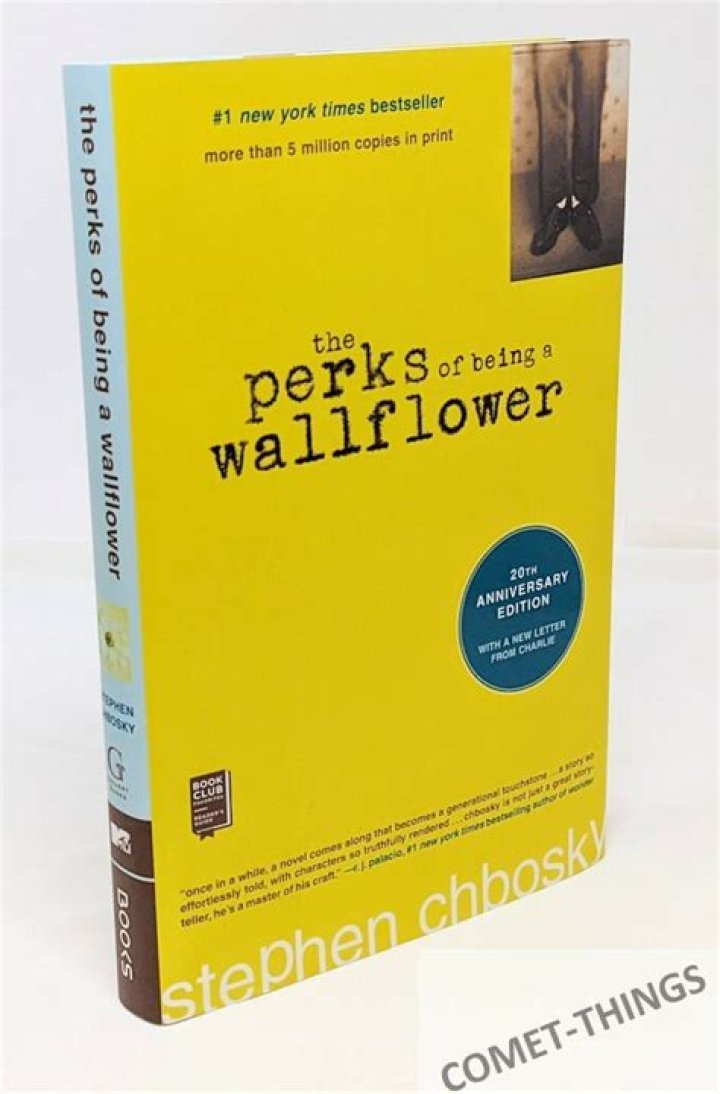 The Perks Of Being A Wallflower Review