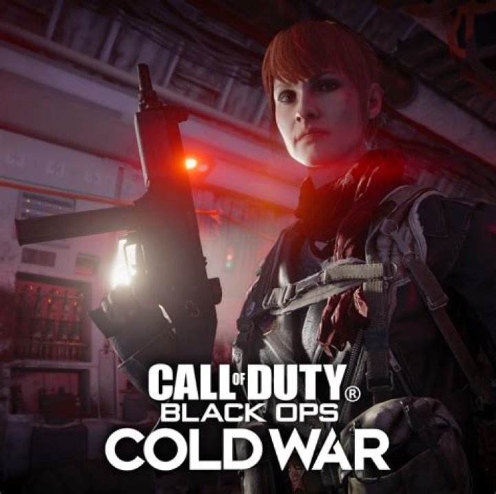 What Do I Type In The Computer In Black Ops Cold War? – Celebrity
