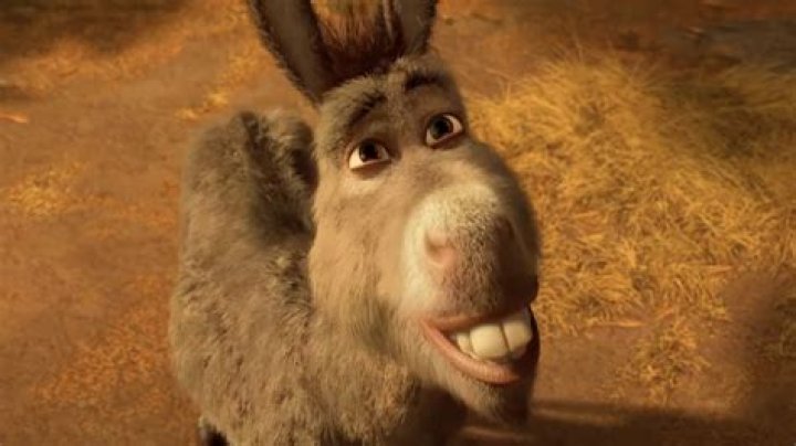 What Is The Donkey Called In Toy Story? – Celebrity