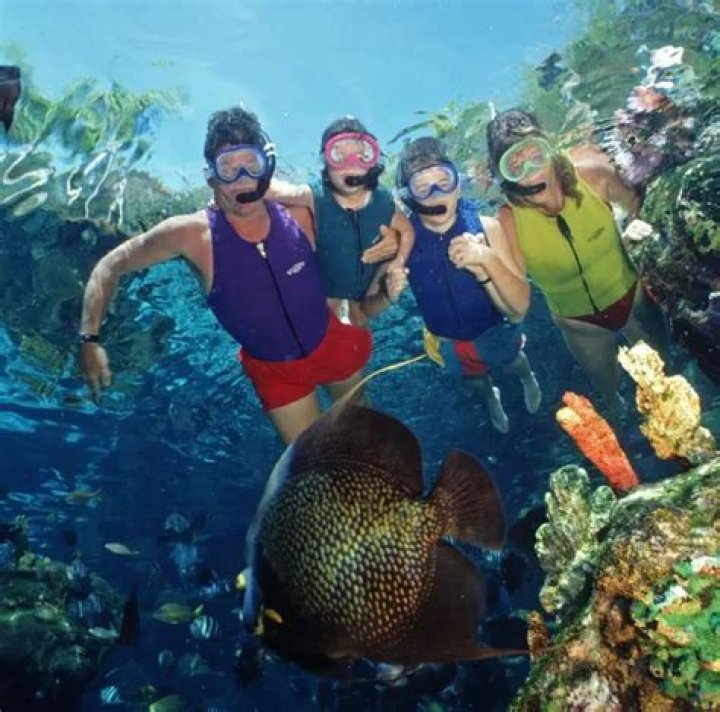 Why did they close Shark Reef at Typhoon Lagoon? – Celebrity